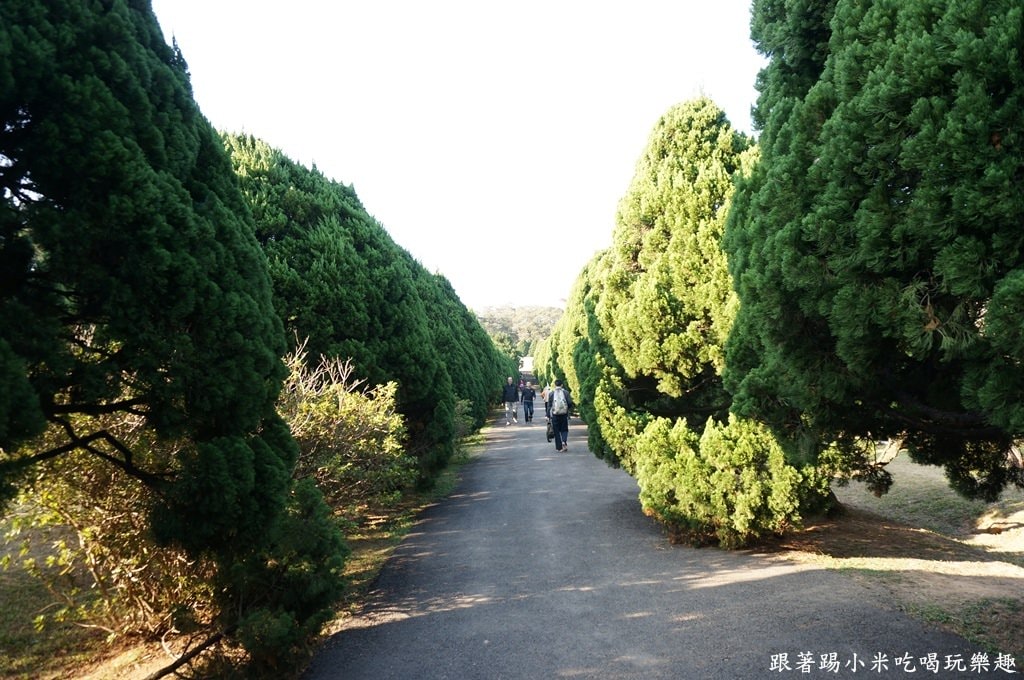 20250124-01yqm
