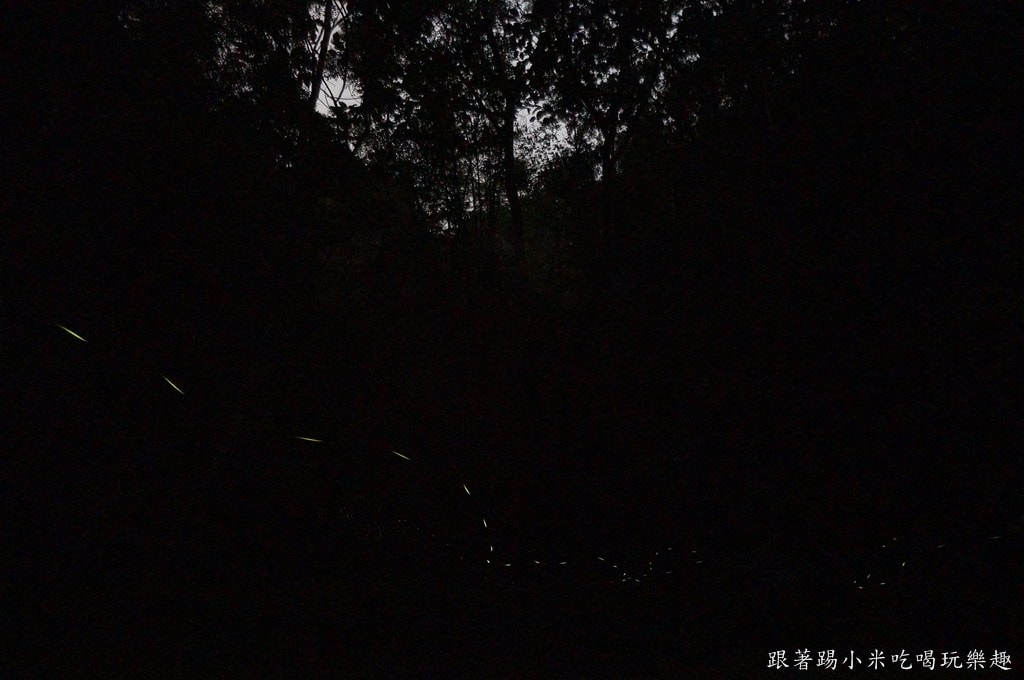 20250124-hik8g