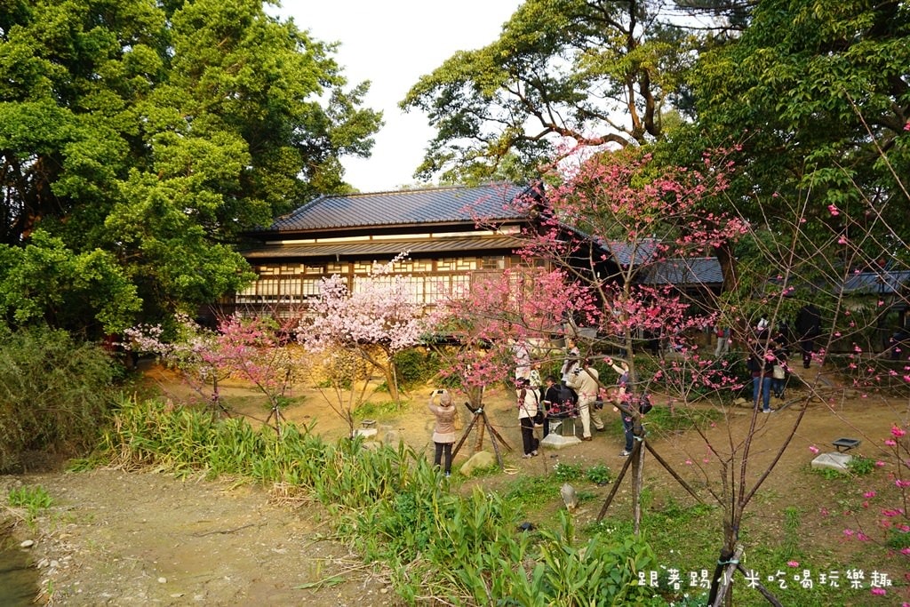 20250124-nvejp