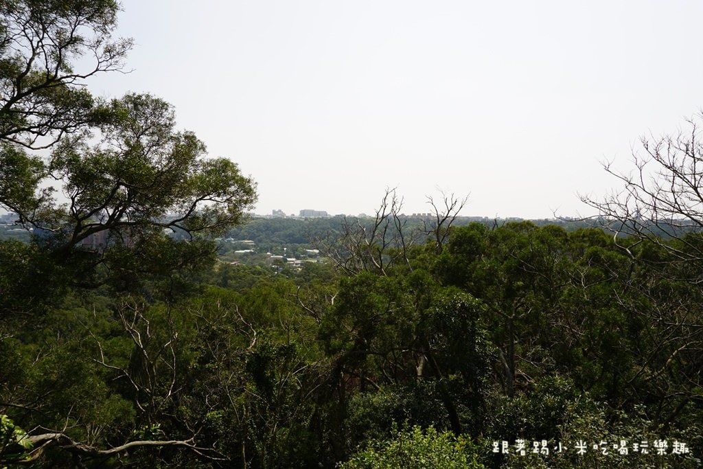 20250124-y3mlj