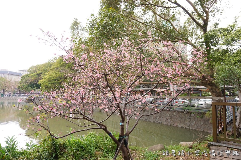 20250124-9tith