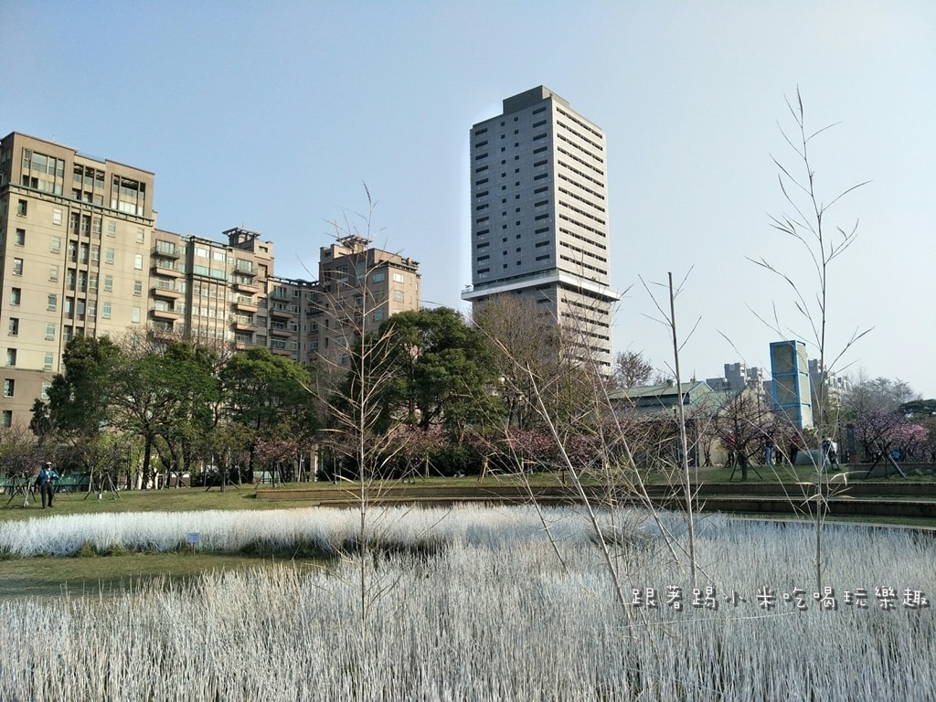 20250124-gu14x