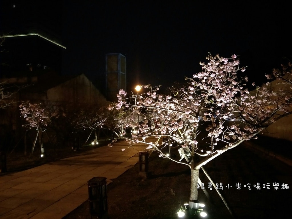 20250124-h945d