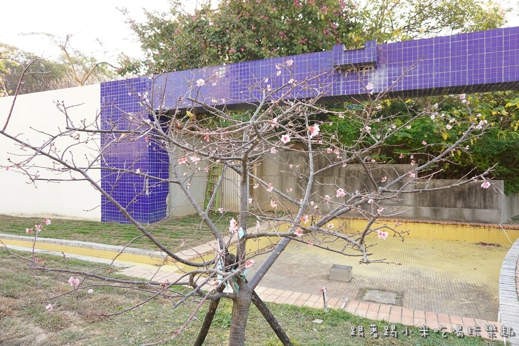 20250124-ncmm6