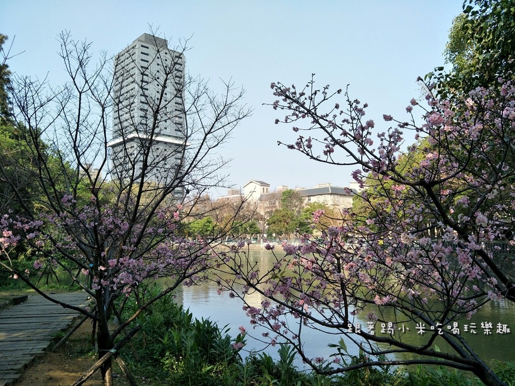 20250124-pr0pc