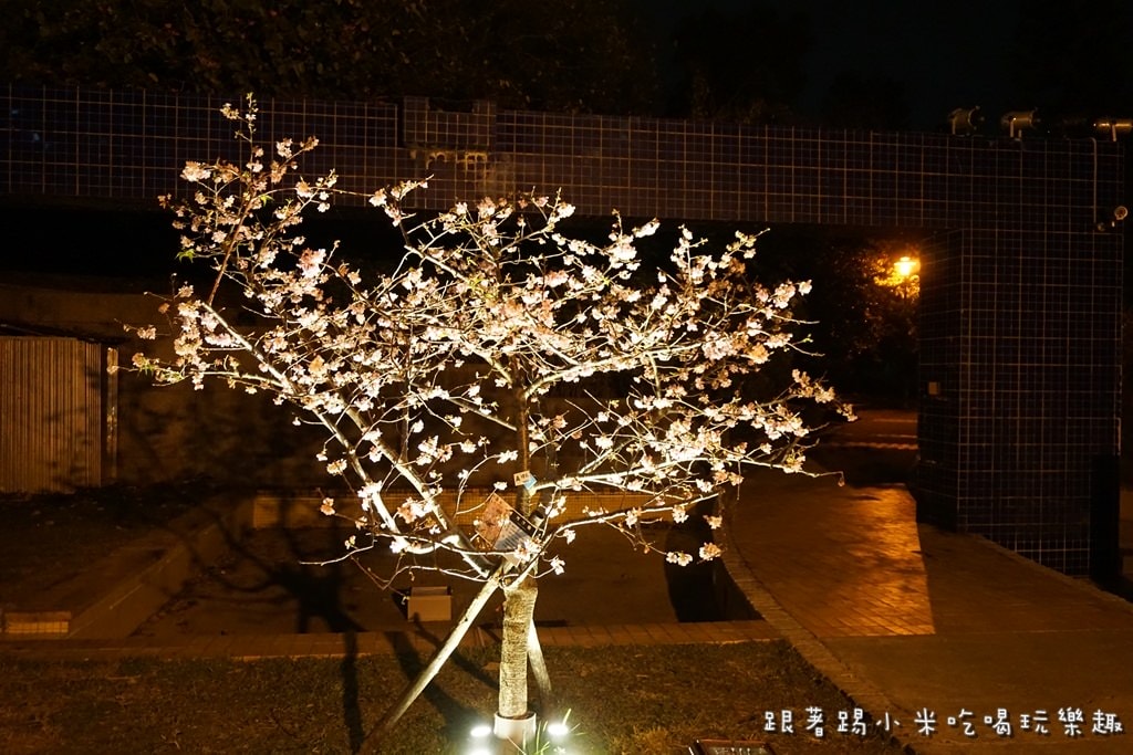 20250124-ty58i