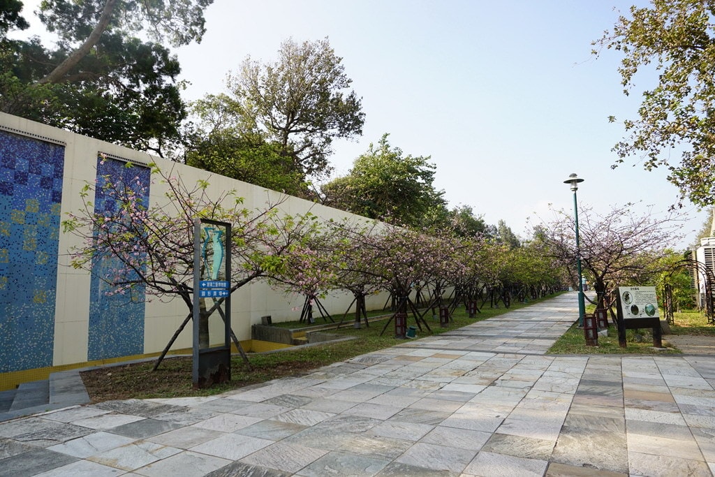 20250124-viu19
