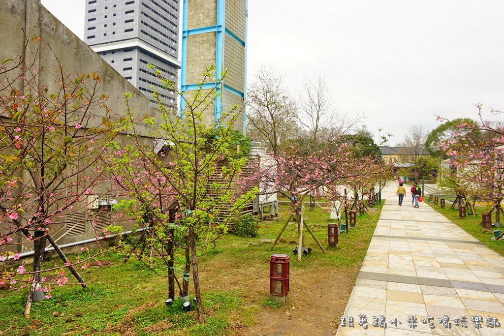 20250124-wdtel