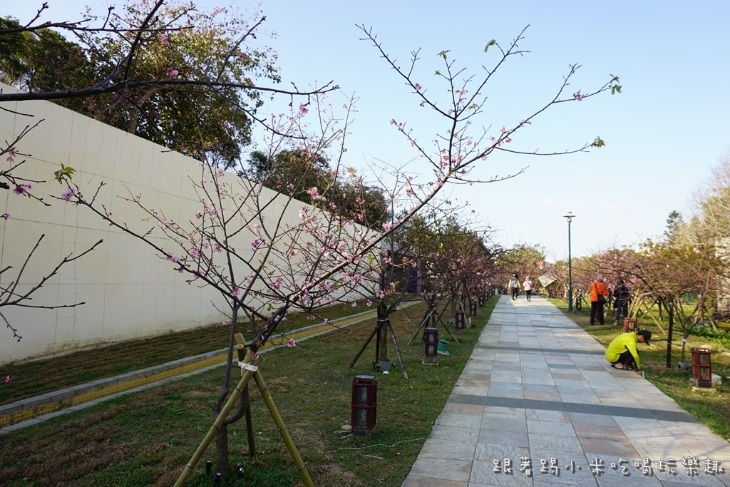 20250124-x6haw