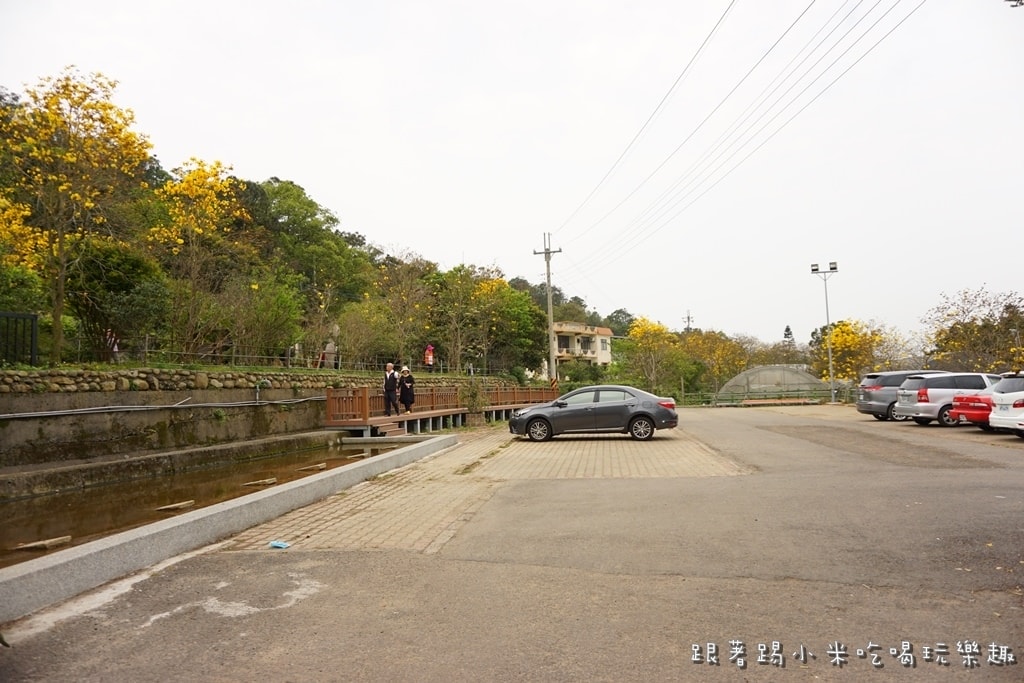 20250124-29tyz