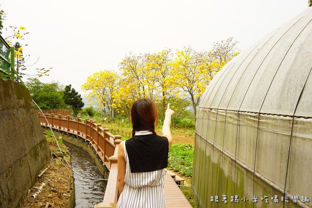 20250124-90pi1