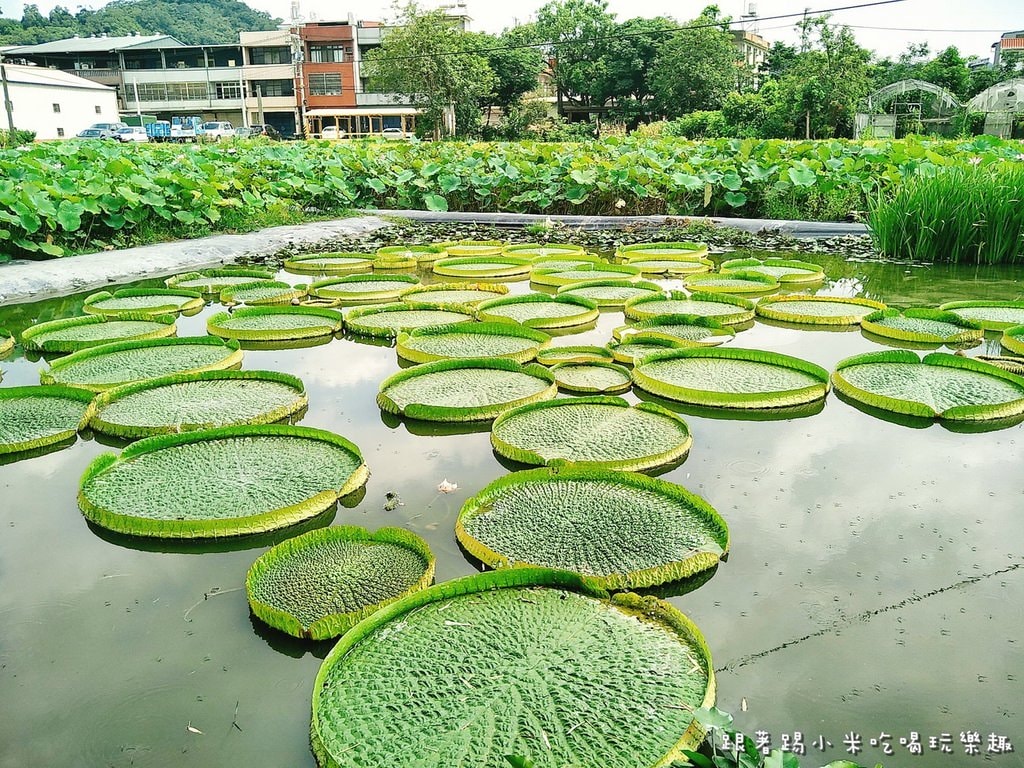 20250124-fexj8
