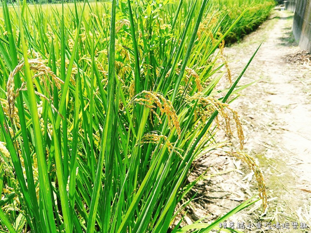20250124-l68ig