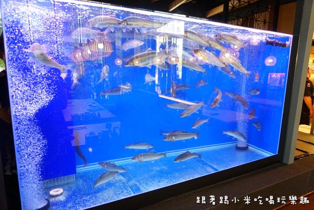 20250124-t6pdj