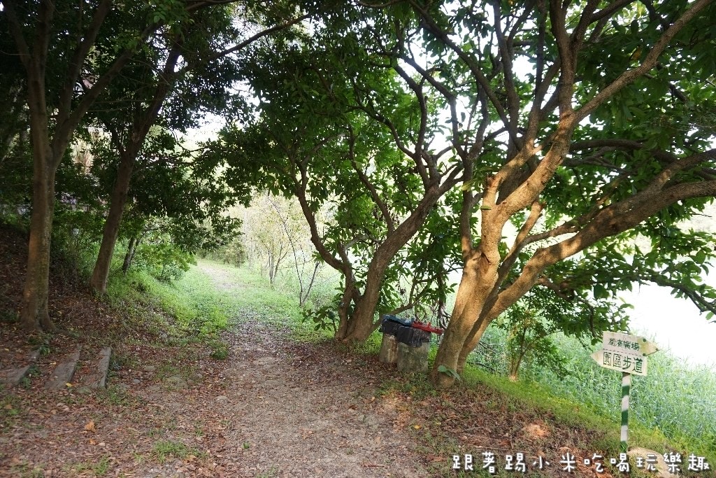 20250124-asfce