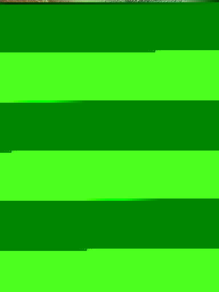 20250124-kzyu7