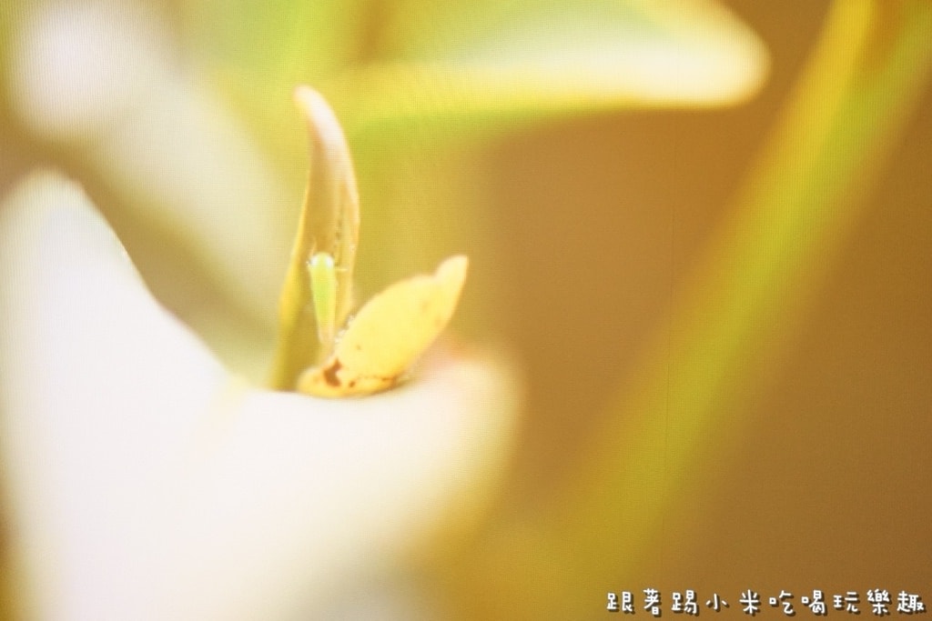 20250124-d5mlv