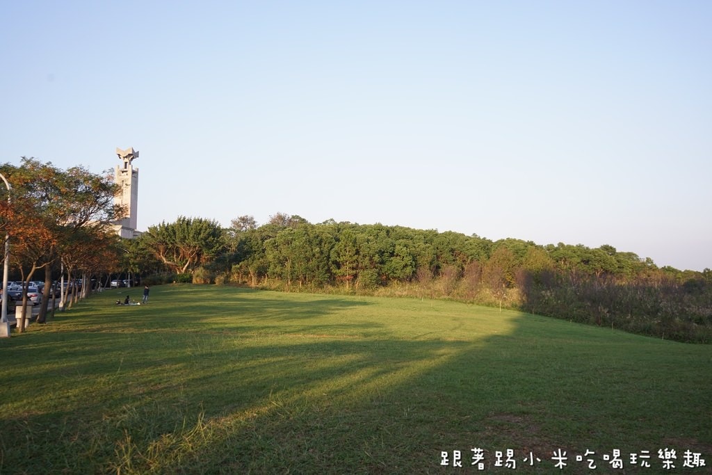 20250125-cy8sz