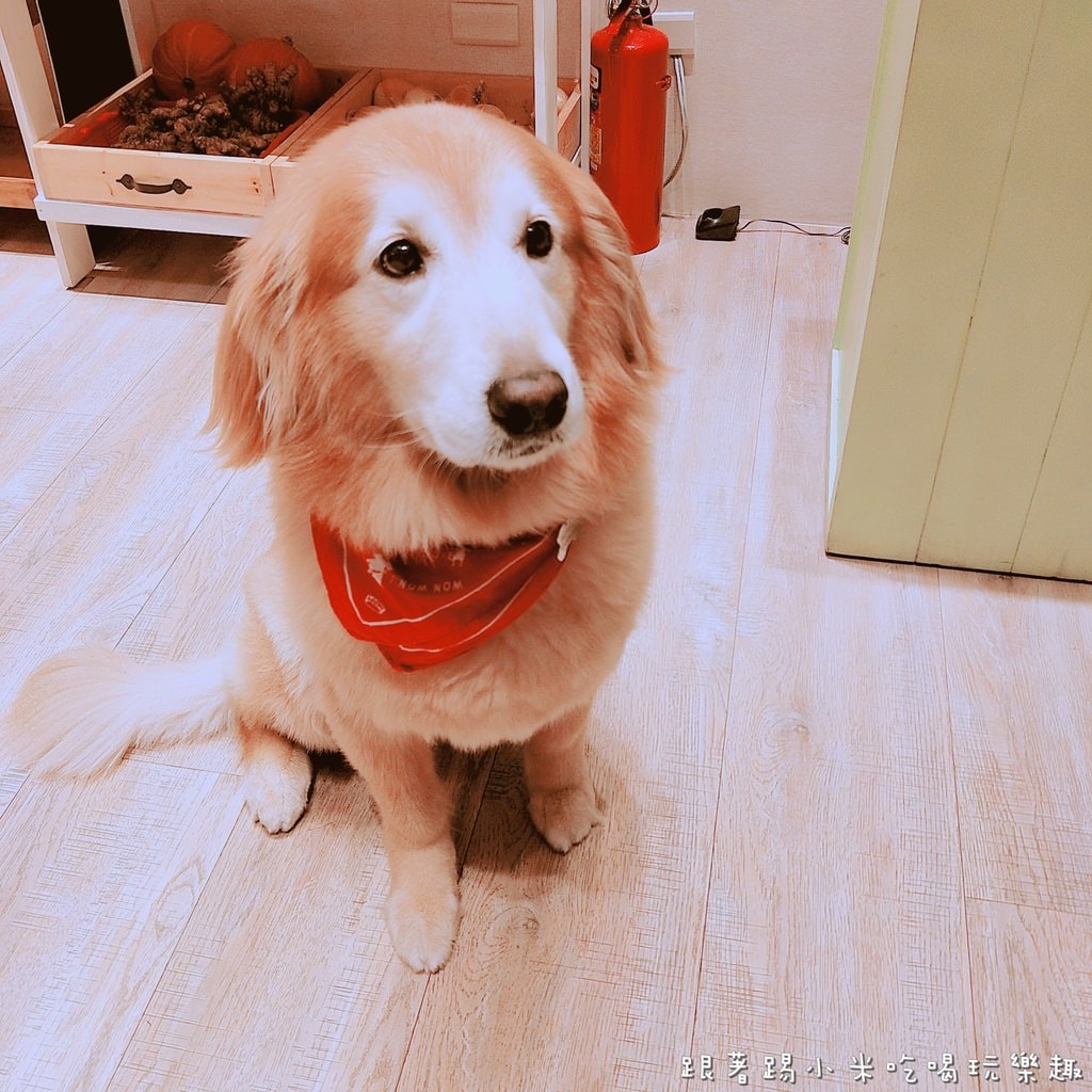 20250124-jo0i3