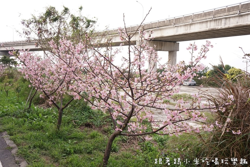 20250125-cs8ky