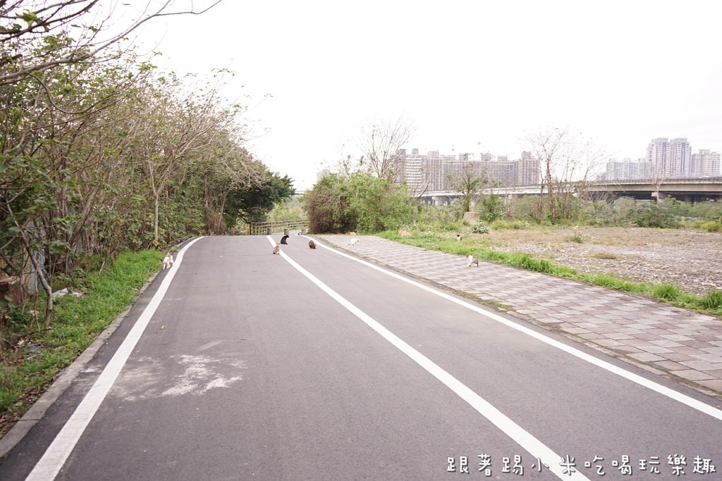 20250125-yc4ic