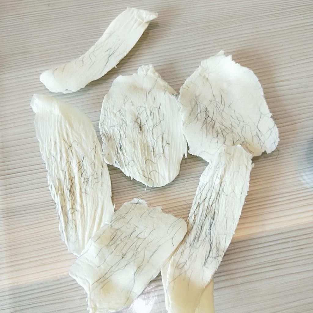 20250125-uh7qv