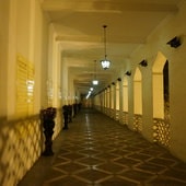 20250124-lwgog