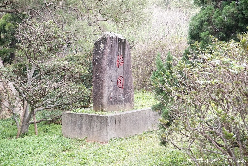 20250125-5zfqx
