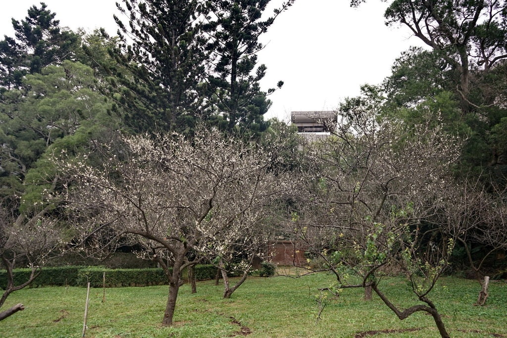20250125-olaij