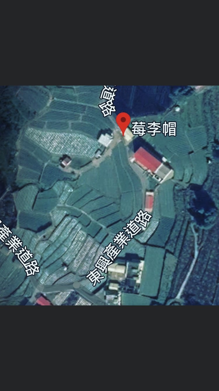 20250124-9ibgi