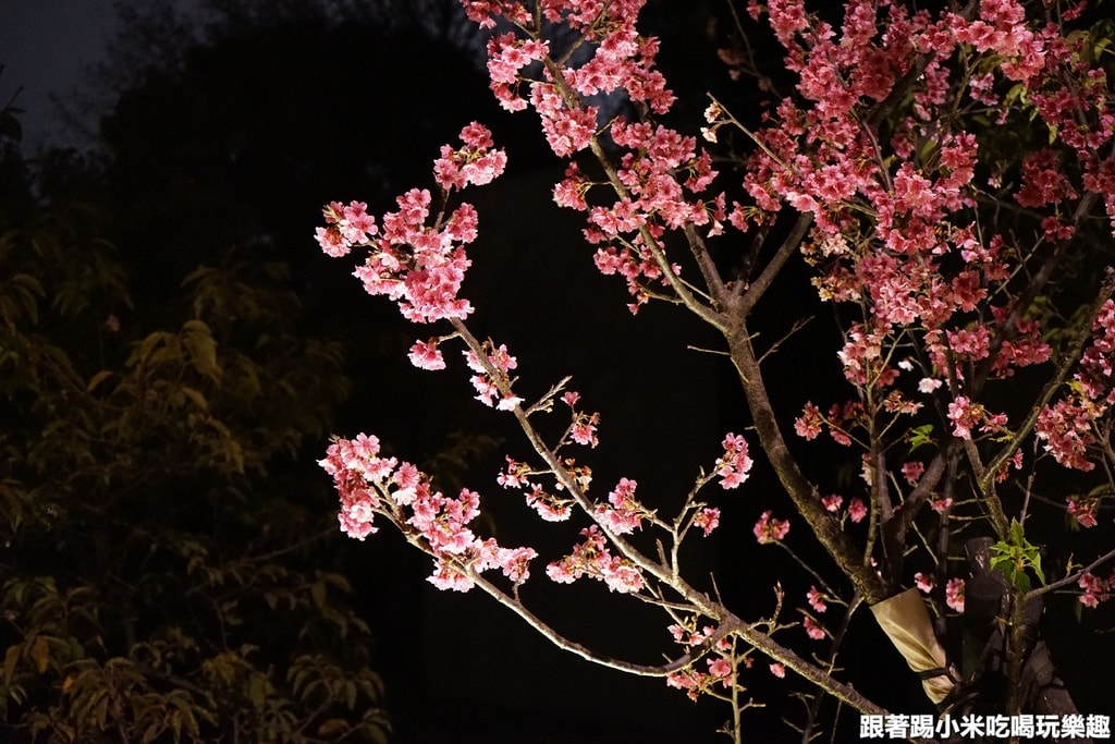 20250125-20qzq