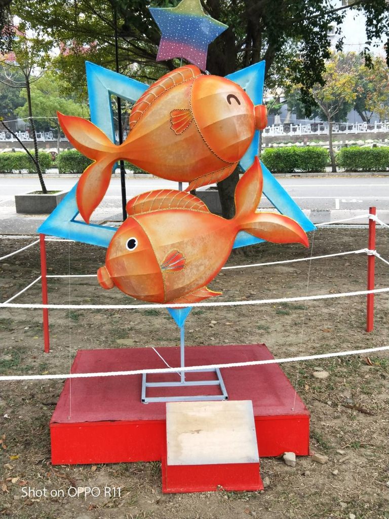 20250125-5fiff