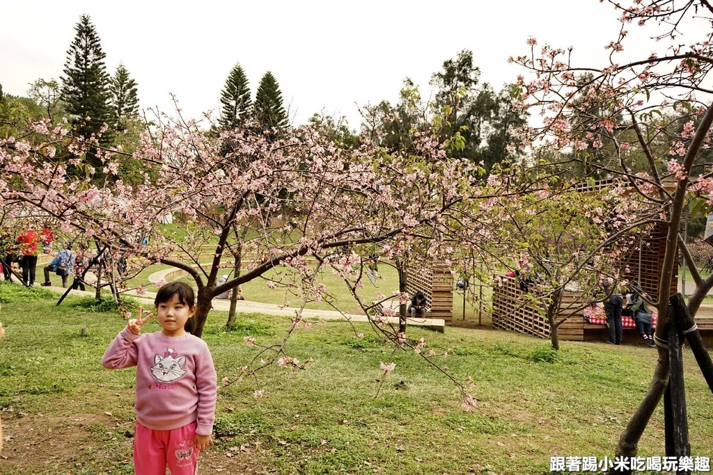 20250125-geill