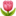 20250125-ahsc1 20250125-ahsc1