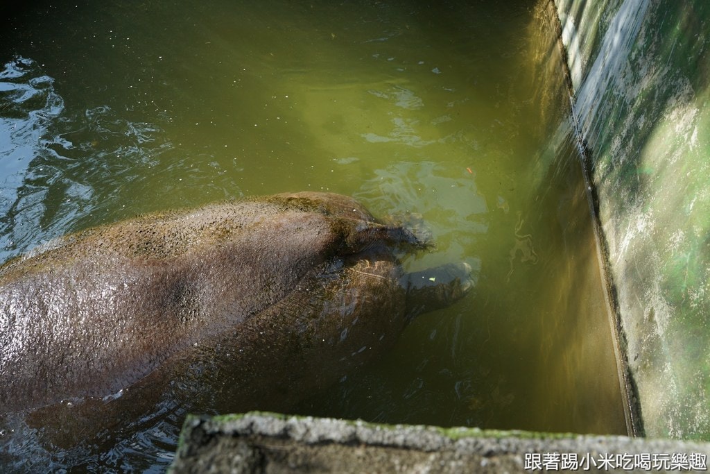 20250125-q8kbs