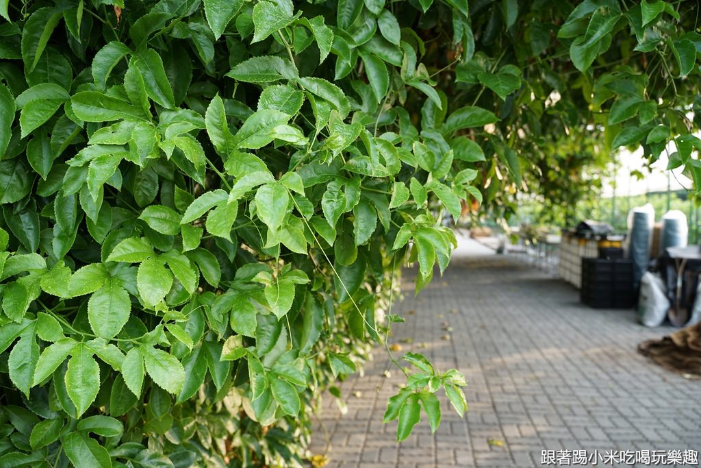 20250124-cjh4f