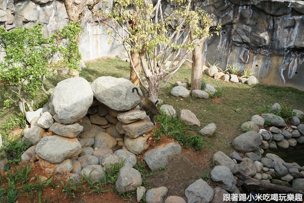20250124-5l3ig
