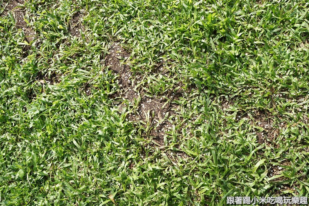 20250124-sfa2p