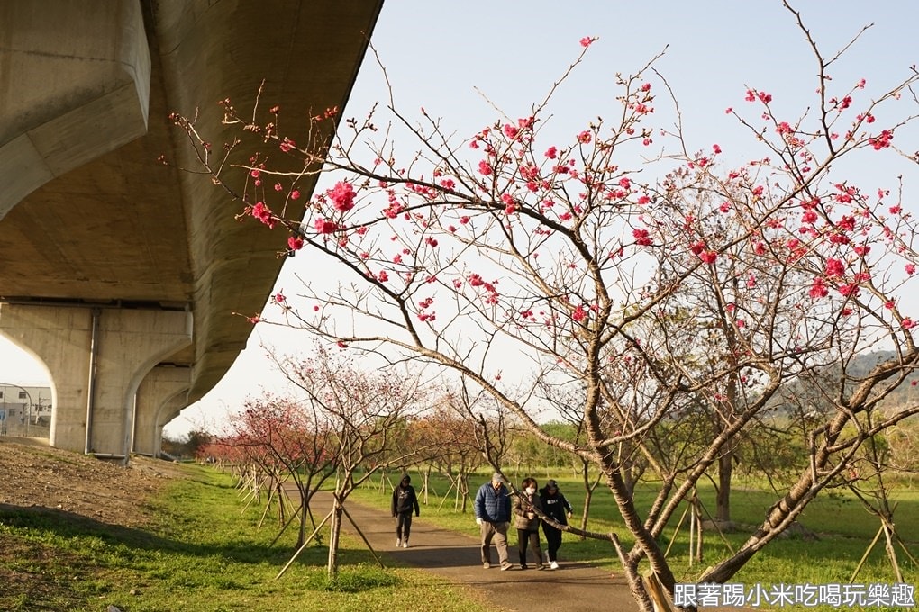 20250124-cr5nx