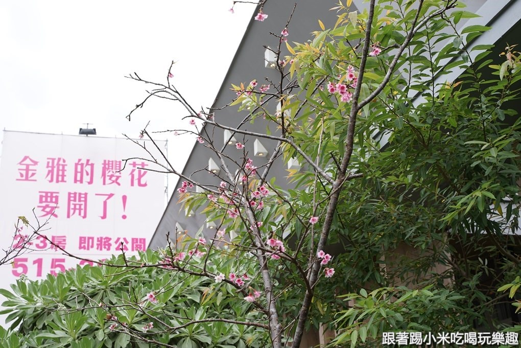 20250124-crwnp