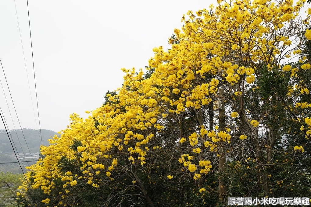 20250124-za7fu
