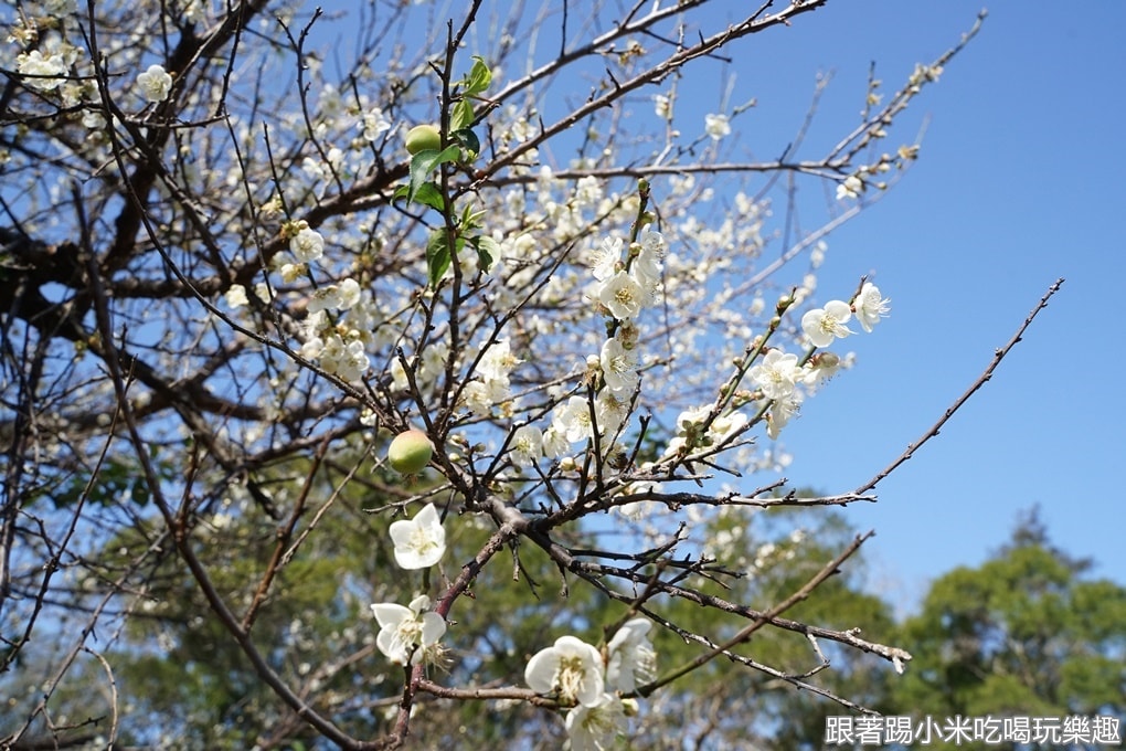 20250124-hdzuc