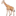 20250124-eq9d4 20250124-eq9d4
