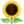 20250125-daain