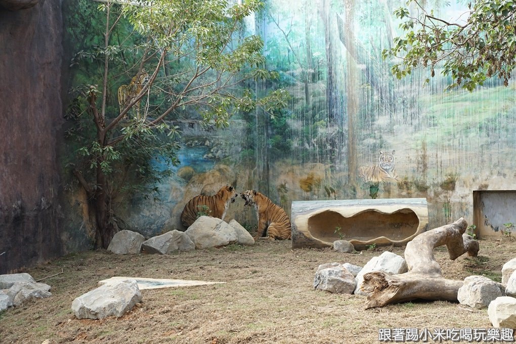 20250124-li1en