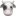 20250124-t1gm2