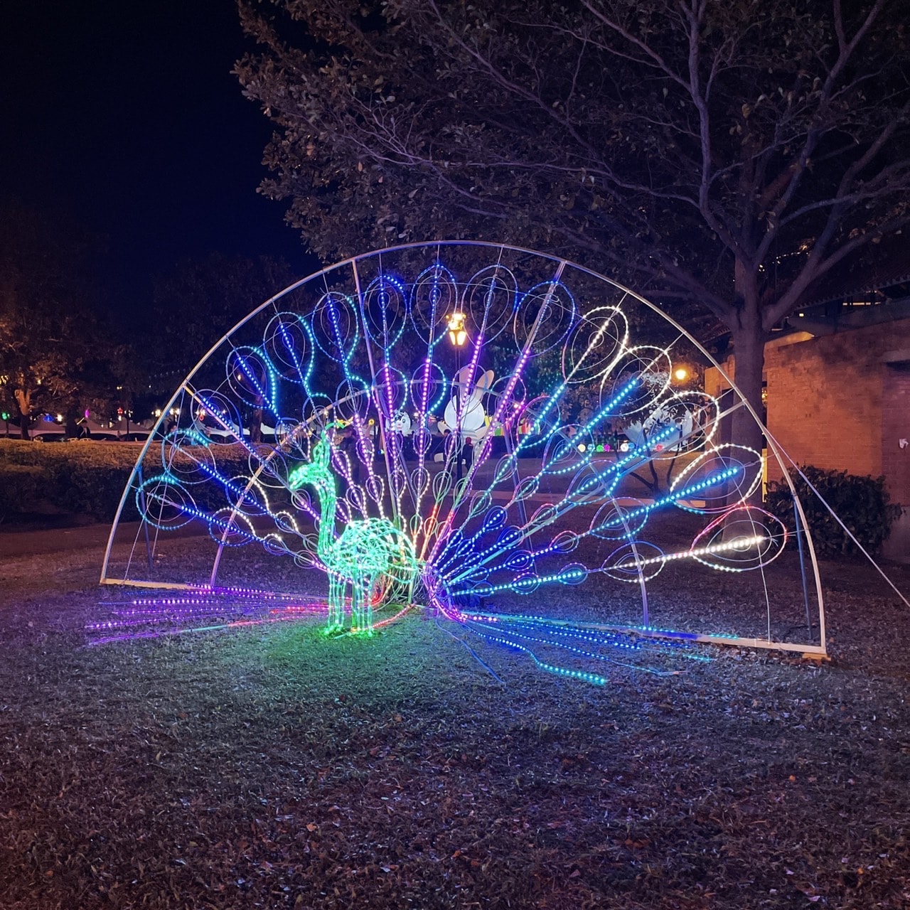 20250124-ehpcb