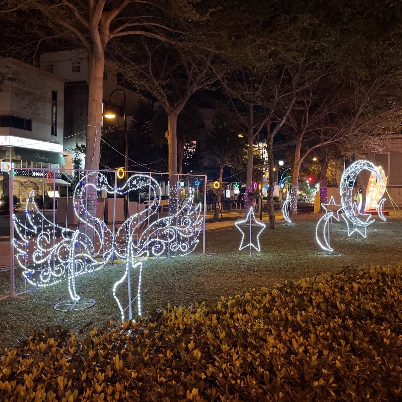 20250124-yauxm
