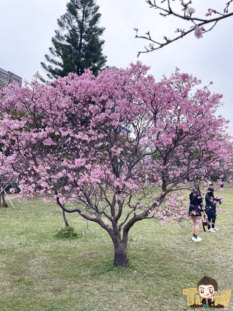 20250124-6m8cf