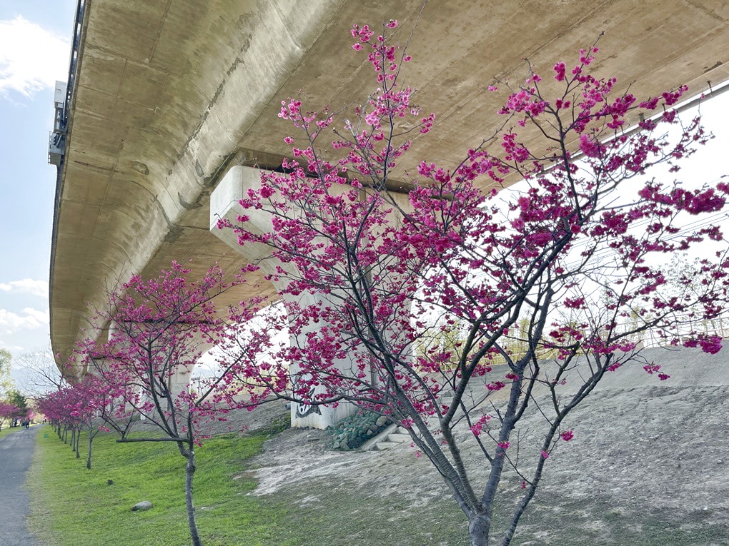 20250124-o0fpv